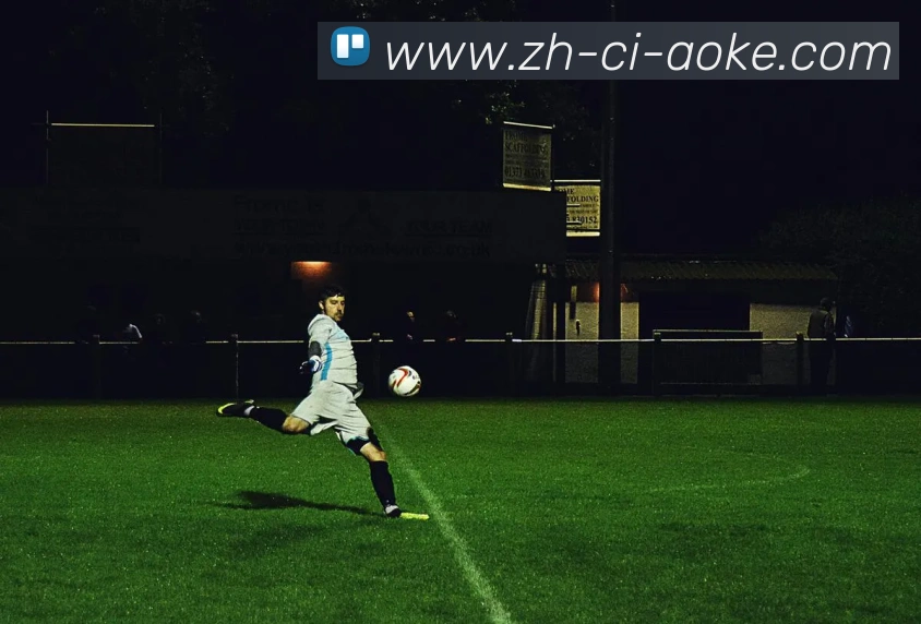 澳客足彩平台生态图